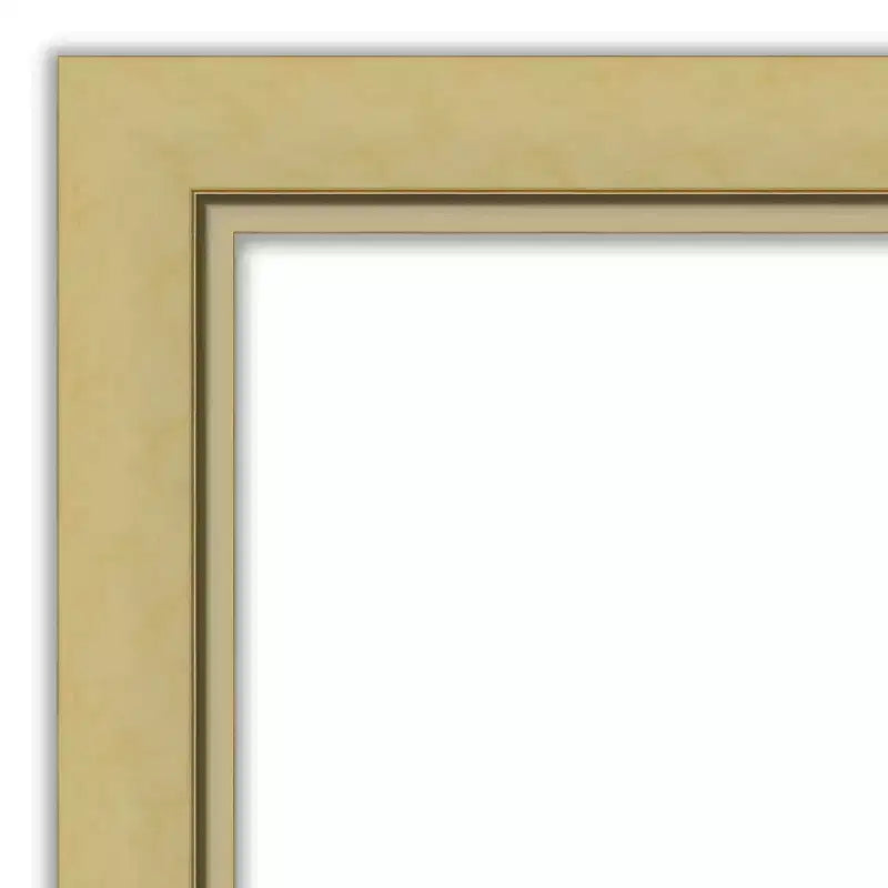 Miroir de porte sur toute la longueur 51,5"x17,5" sans biseau, cadre étroit doré
