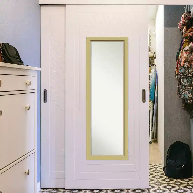 Miroir de porte sur toute la longueur 51,5"x17,5" sans biseau, cadre étroit doré