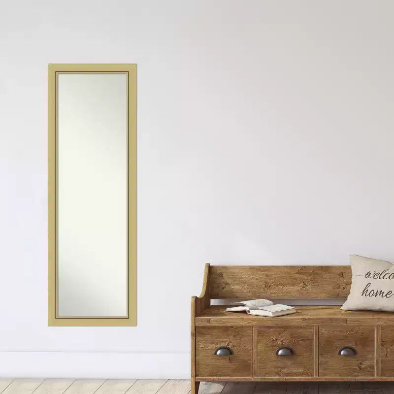 Miroir de porte sur toute la longueur 51,5"x17,5" sans biseau, cadre étroit doré