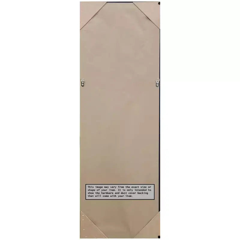Miroir de porte sur toute la longueur 51,5"x17,5" sans biseau, cadre étroit doré